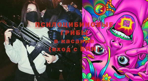 спайс Алексин