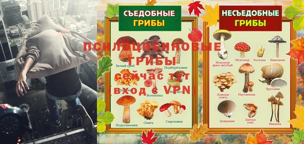 дживик Алексеевка