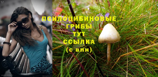 дживик Алексеевка